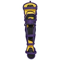 Easton Adult Mav X Catchers Set, Purple