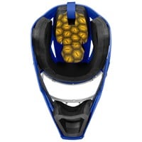 Easton Adult Phenom Catchers Set, Royal