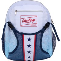 Rawlings Limited Edition American Classic Bat Pack, Red/White/Blue