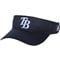 z-tampabayrays-v
