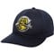 z-charlestonriverdogs-v