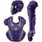 z-purple-v