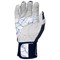 navywhite-v-1-z