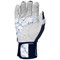 bluewhite-v-1-z
